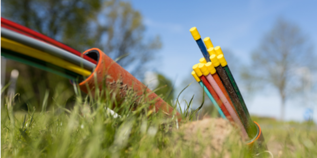 Mehrere bunte Kabel ragen aus einem Schutzrohr im hohen Gras vor einem klaren, blauen Himmel.