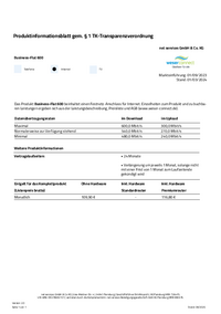 Produktinformationsblatt Business-Flat 600